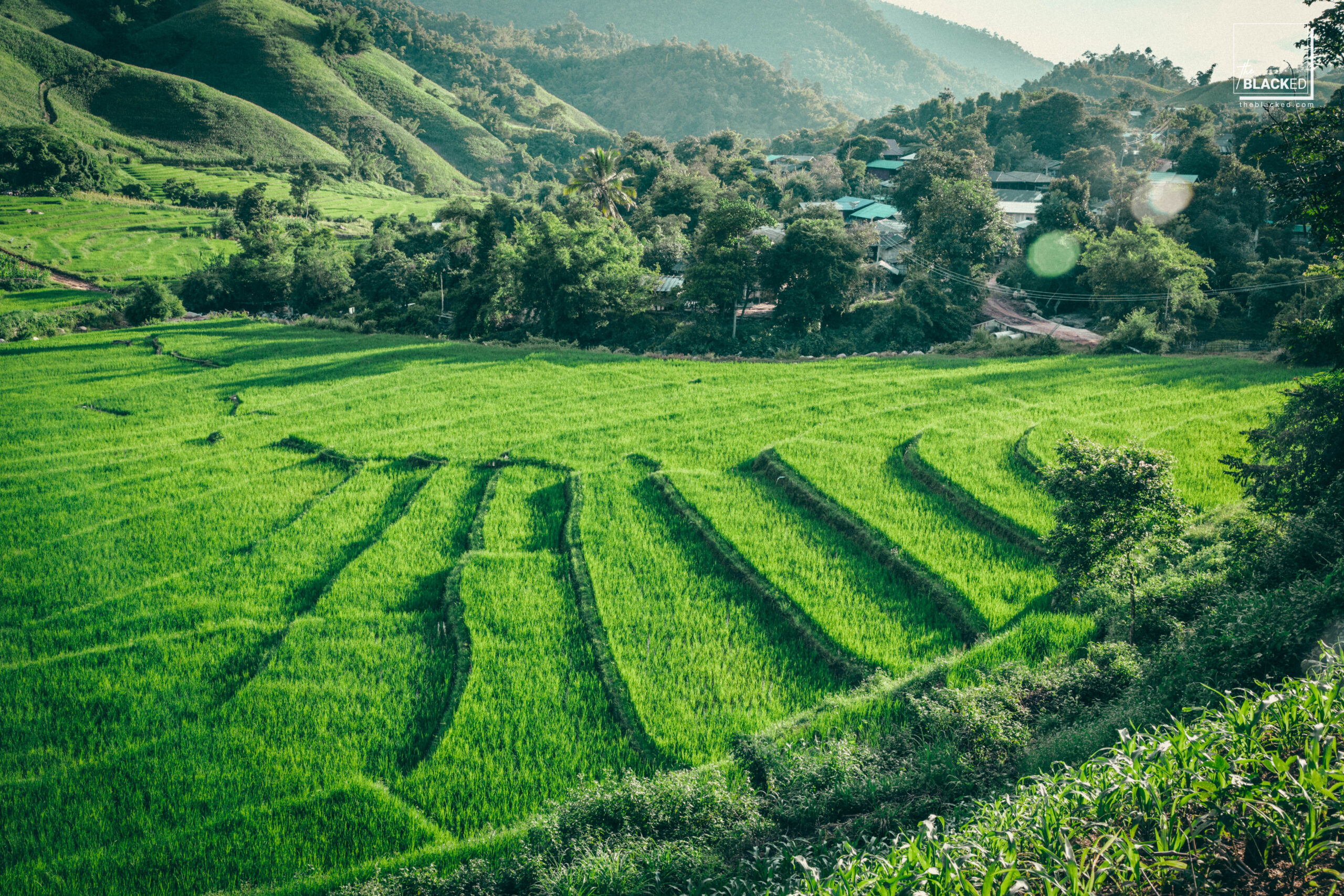 love nature 4dsupply chiangrai